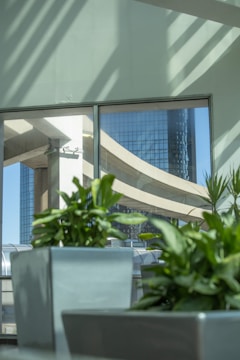 A modern architectural scene with large, reflective windows displaying a view of a high-rise building. Indoor plants in sleek, gray planters add a natural element. Sunlight casts geometric shadows and illuminates the space, creating a balance between nature and urban design.