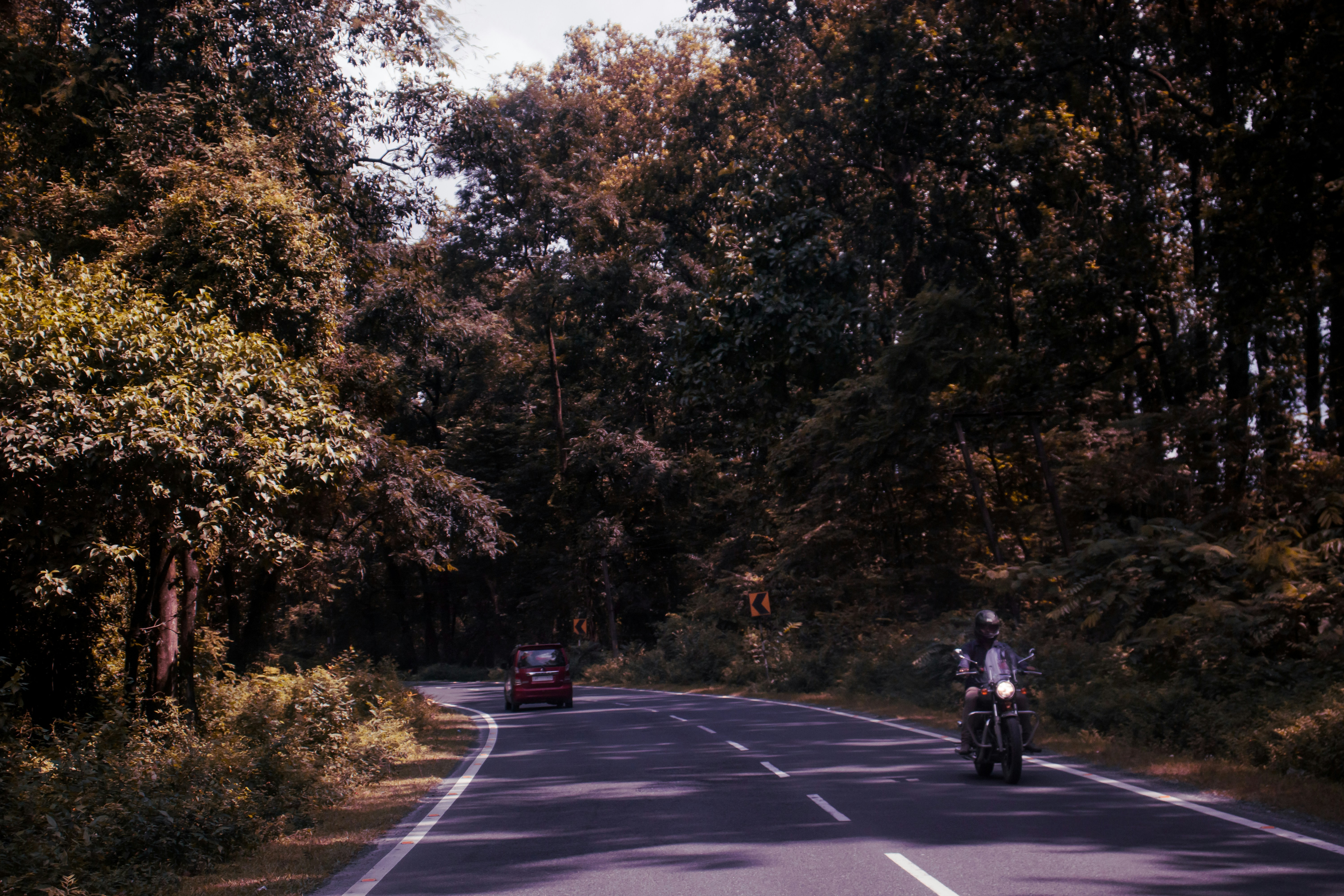 Photo by lazyartistgallery