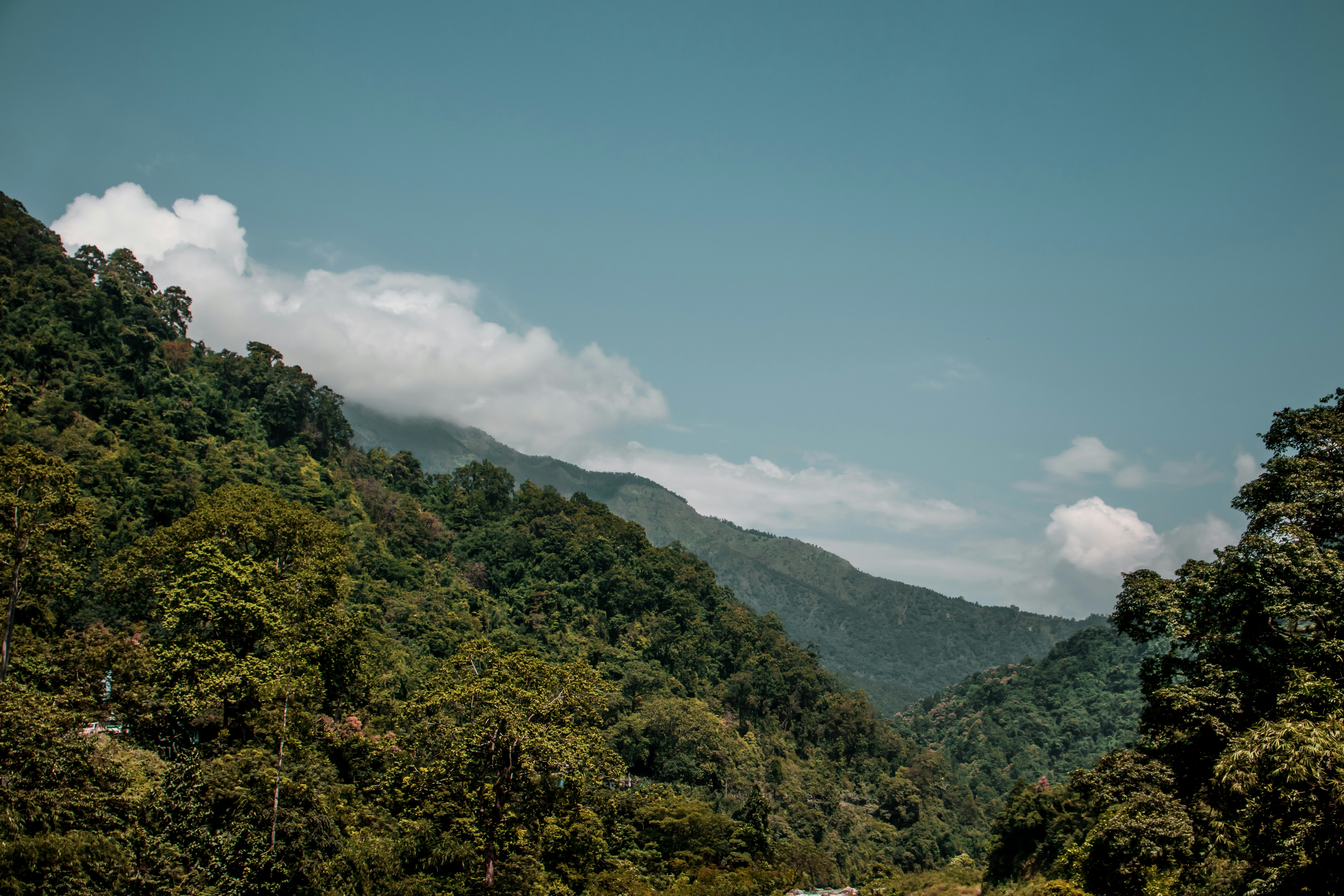 Photo by lazyartistgallery