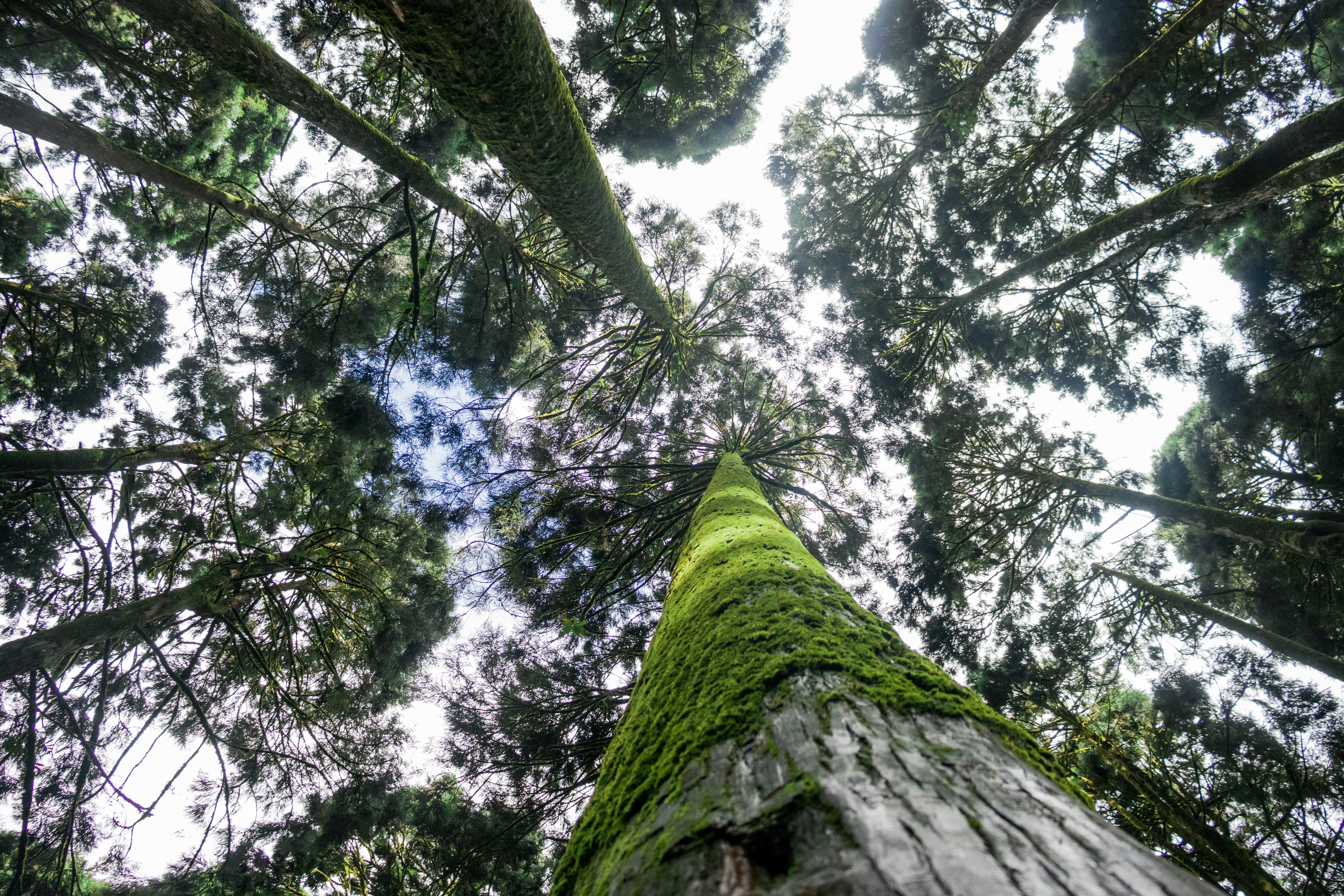 Photo by lazyartistgallery