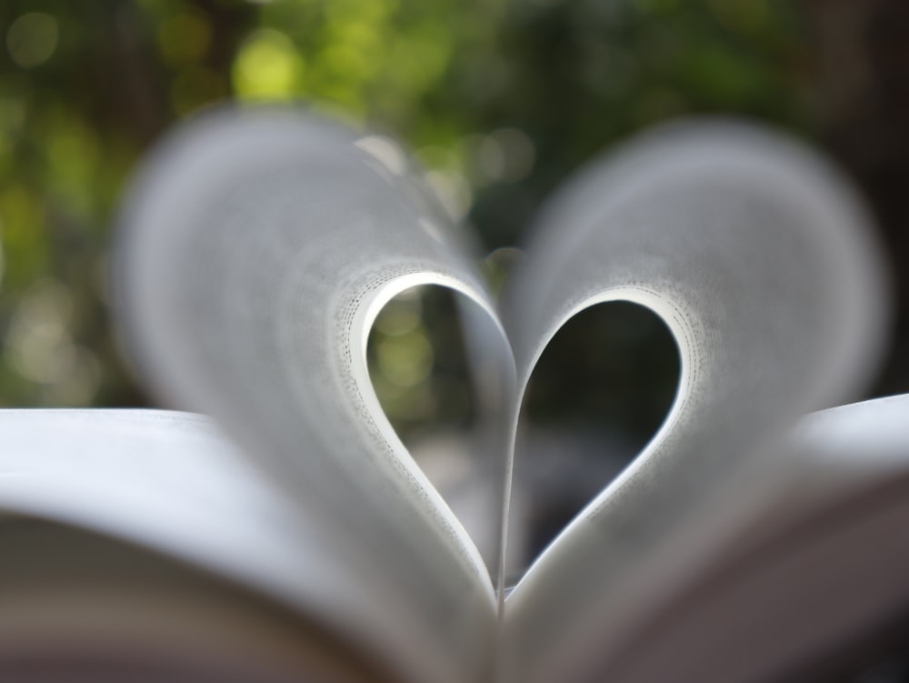 the pages of a book are shaped like a heart