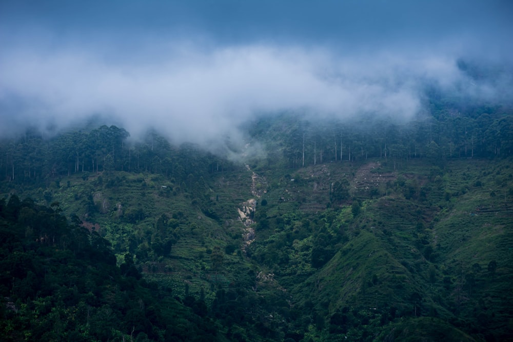 a mountain covered in clouds and trees on a cloudy day