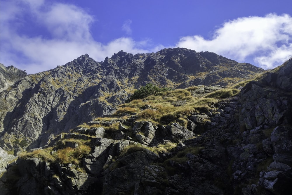 a very tall mountain with some grass on it