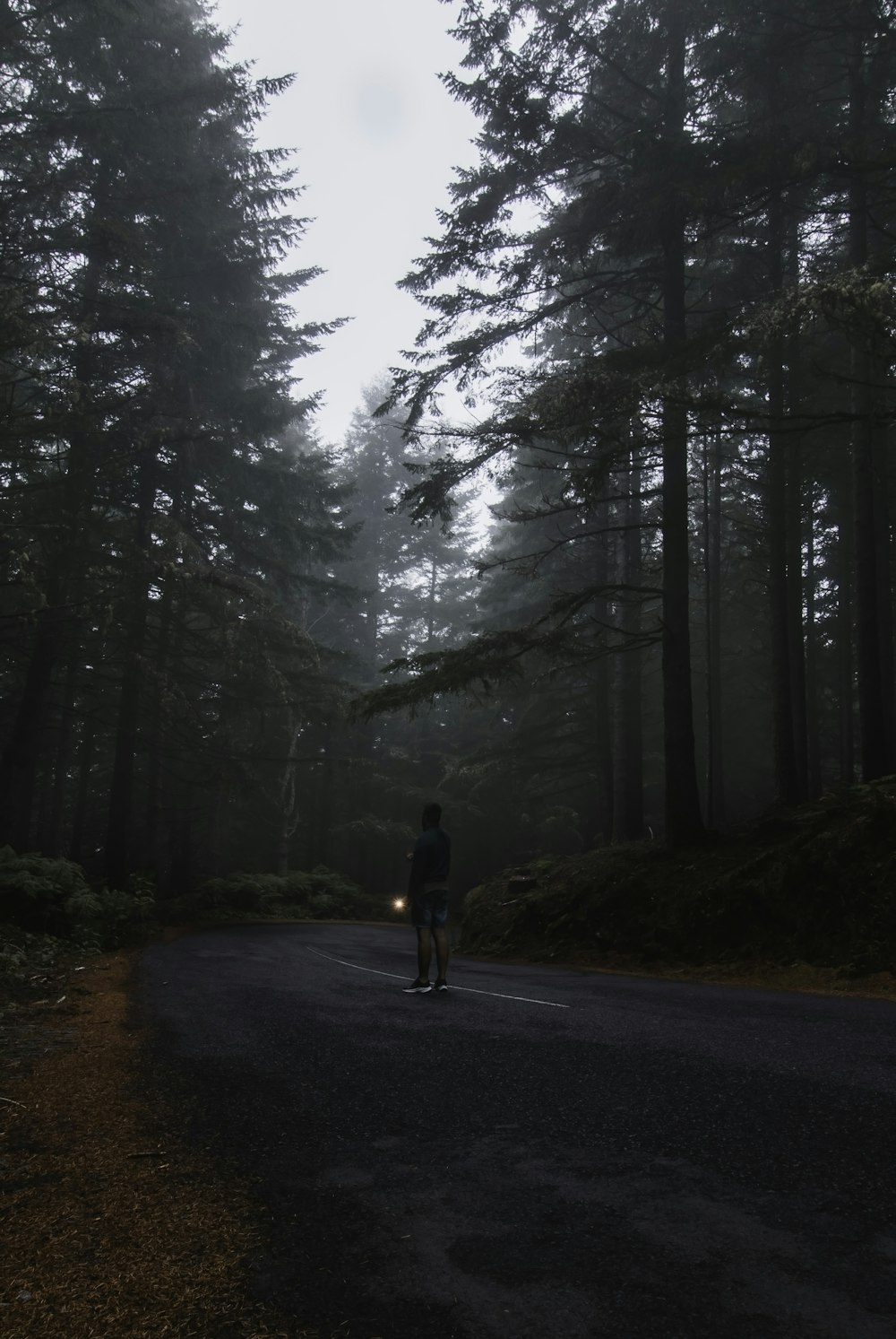 a person standing in the middle of a road surrounded by trees