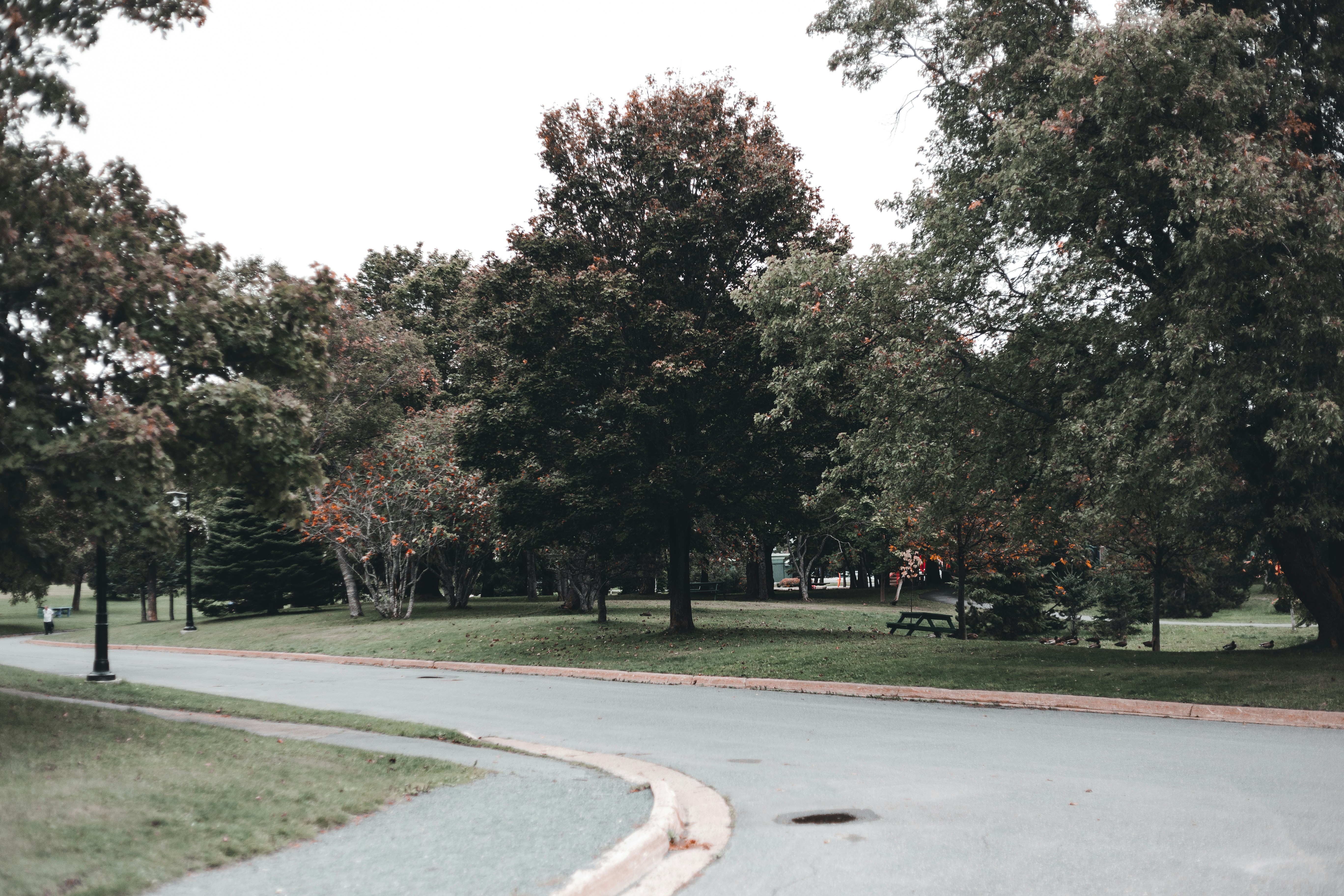 Photo by introspectivedsgn