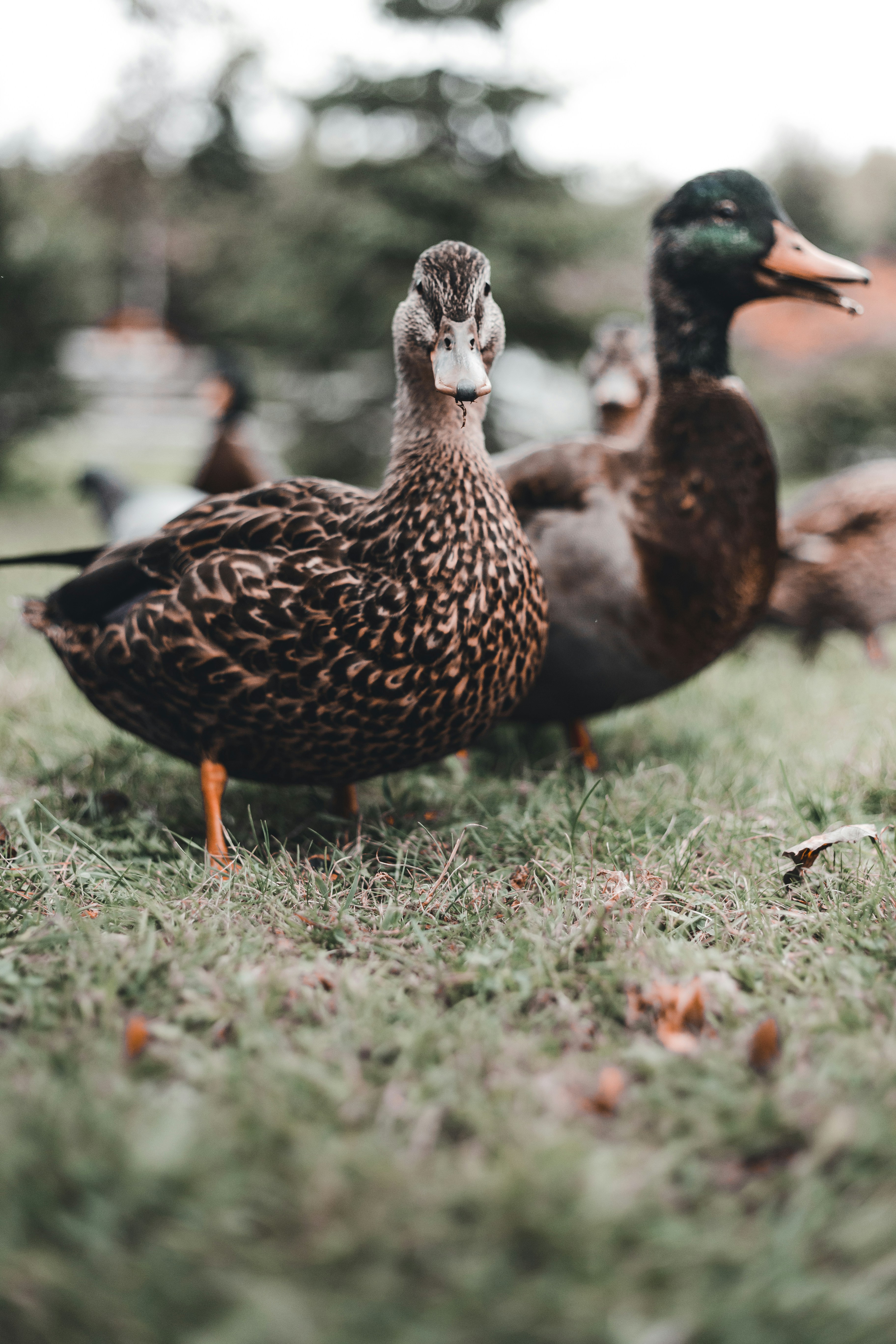 Photo by introspectivedsgn