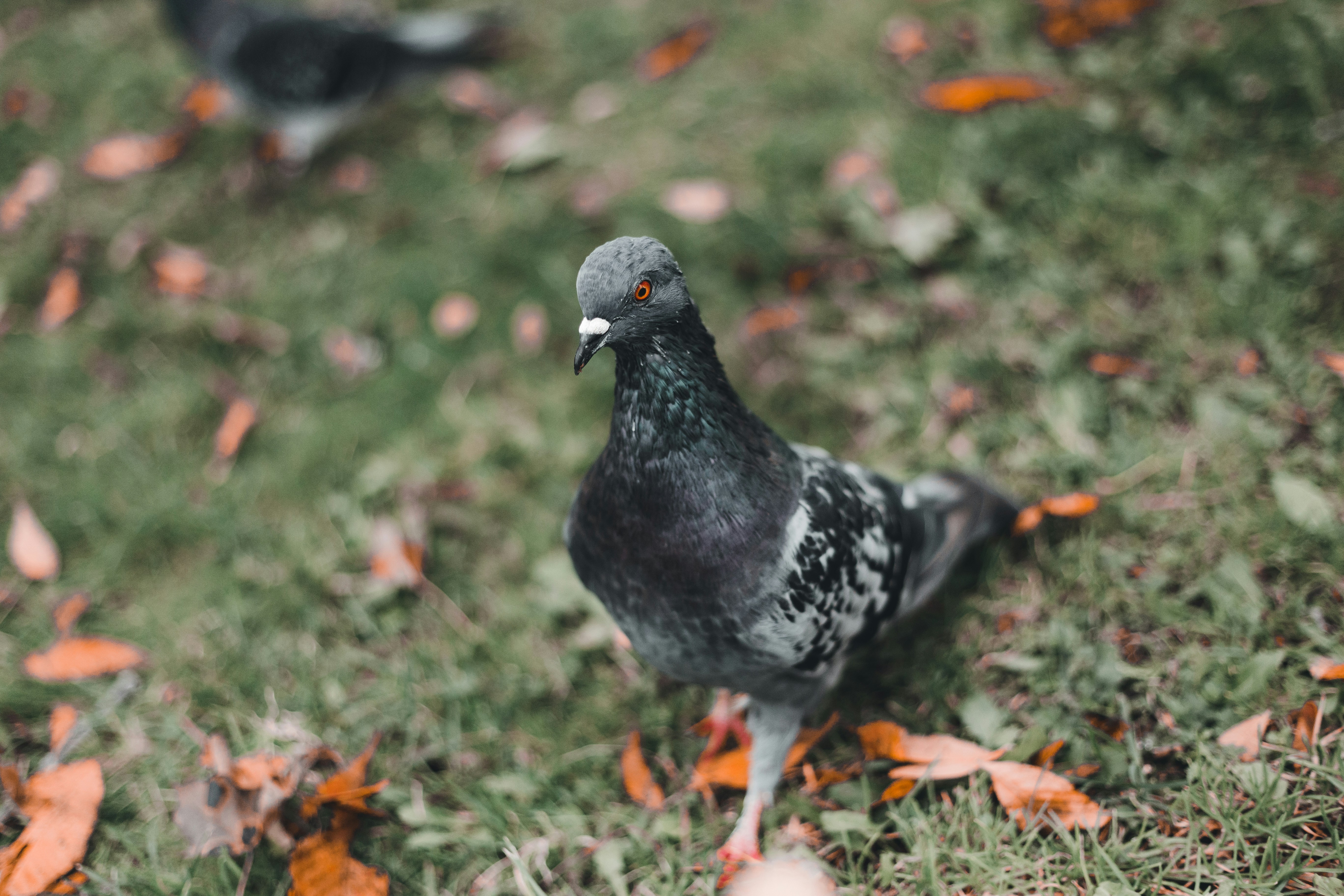 Photo by introspectivedsgn