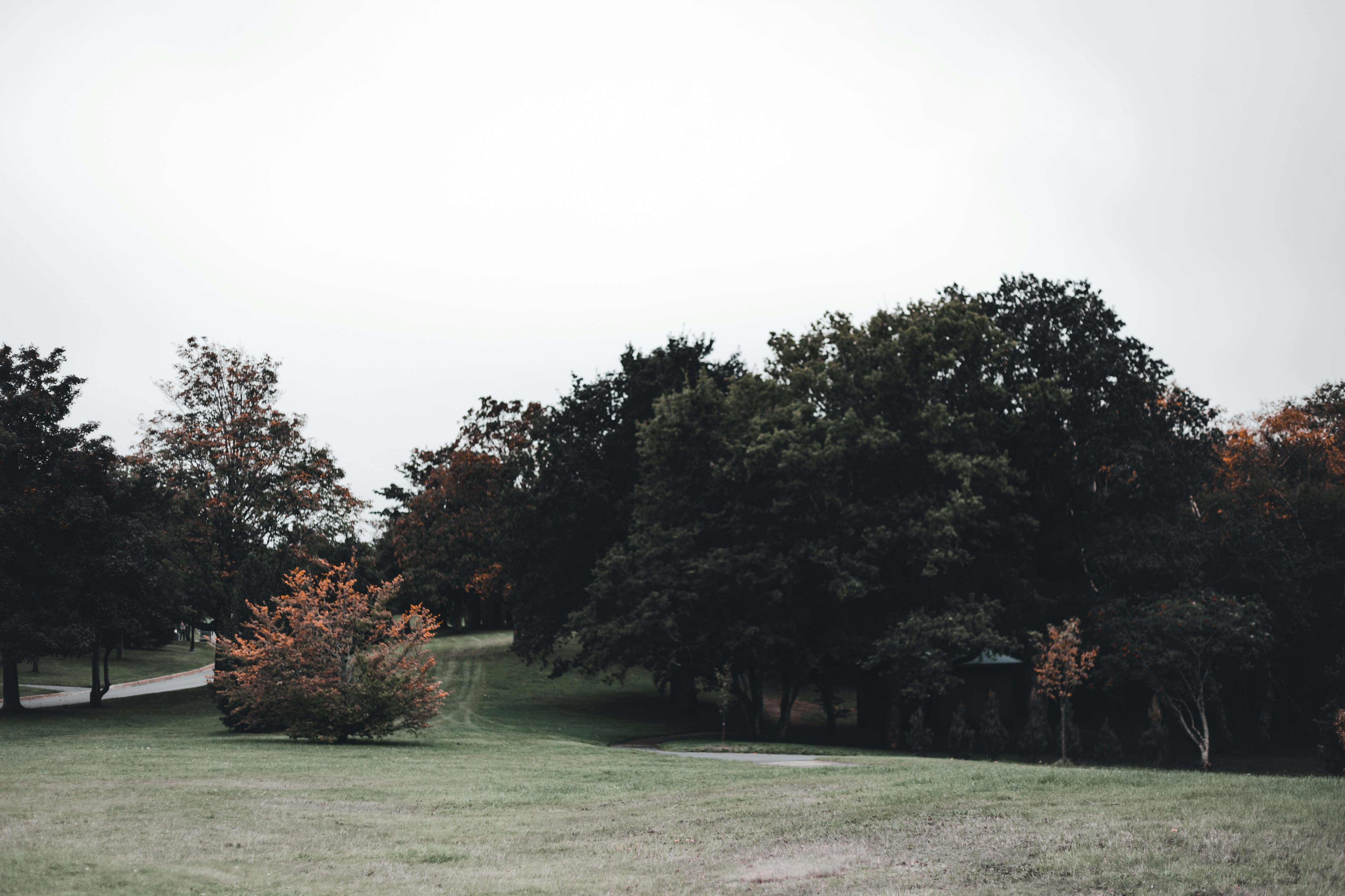 Photo by introspectivedsgn