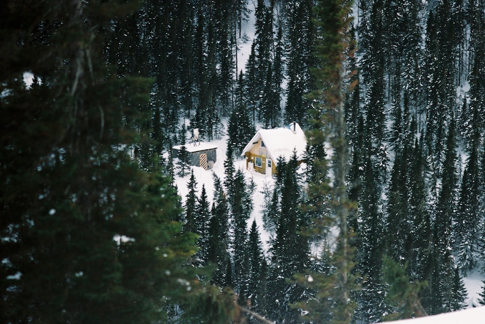 a cabin in the woods covered in snow