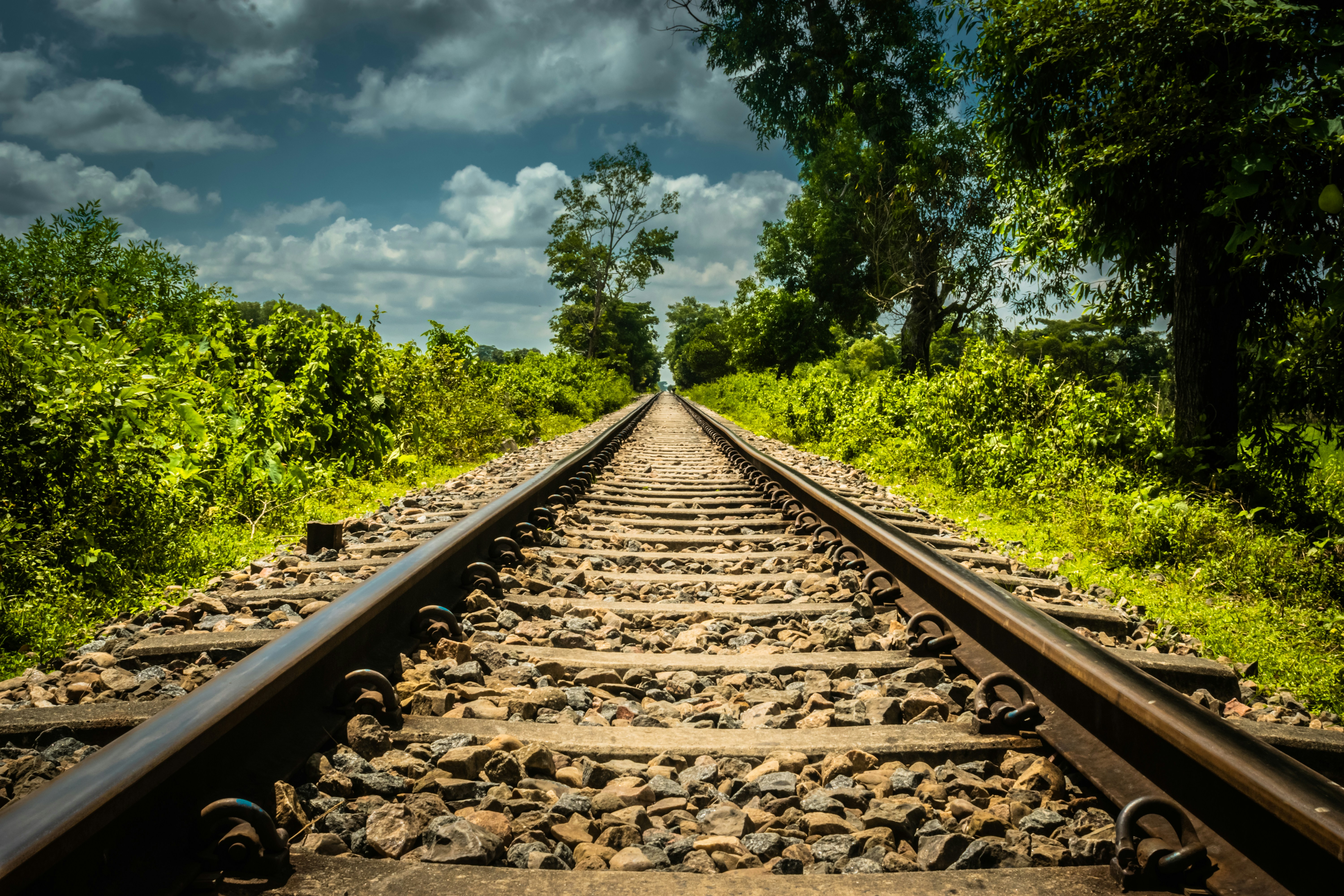a train track with a sky background and trees