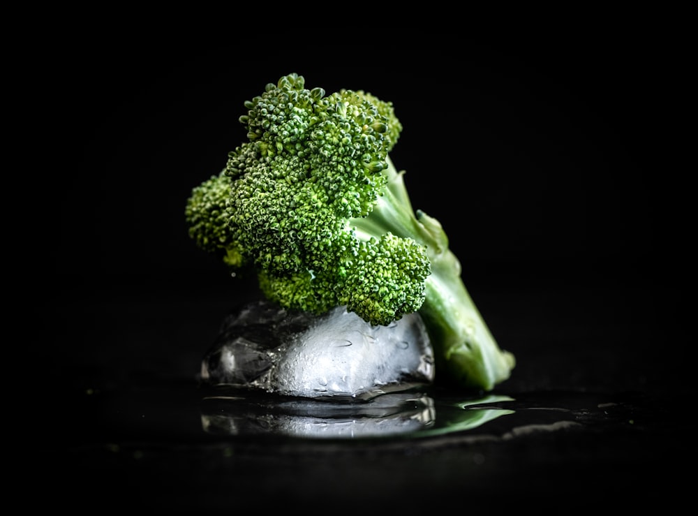 a piece of broccoli sitting on top of ice