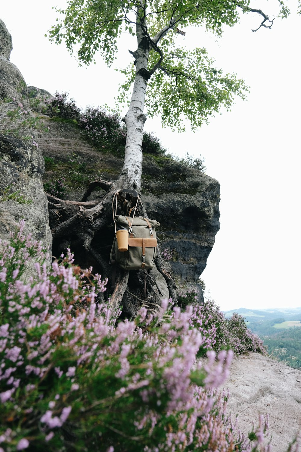 a bag hanging from a tree on top of a cliff