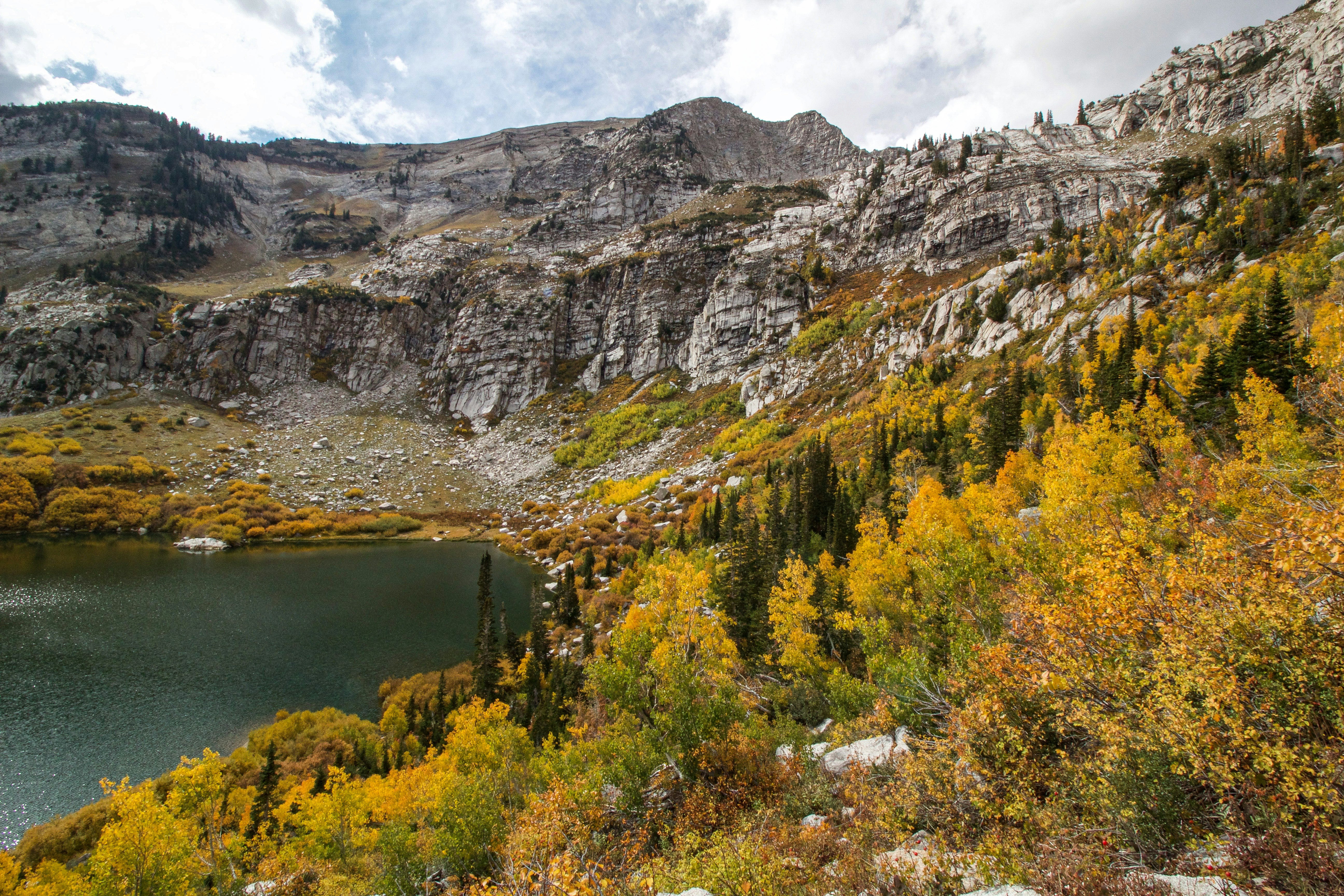 Photo by cy_stillman