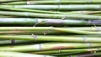 A collection of green bamboo stalks stacked horizontally, showing natural texture and variations in color with a smooth, glossy surface.