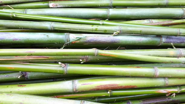 A collection of green bamboo stalks stacked horizontally, showing natural texture and variations in color with a smooth, glossy surface.
