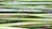 A collection of green bamboo stalks stacked horizontally, showing natural texture and variations in color with a smooth, glossy surface.