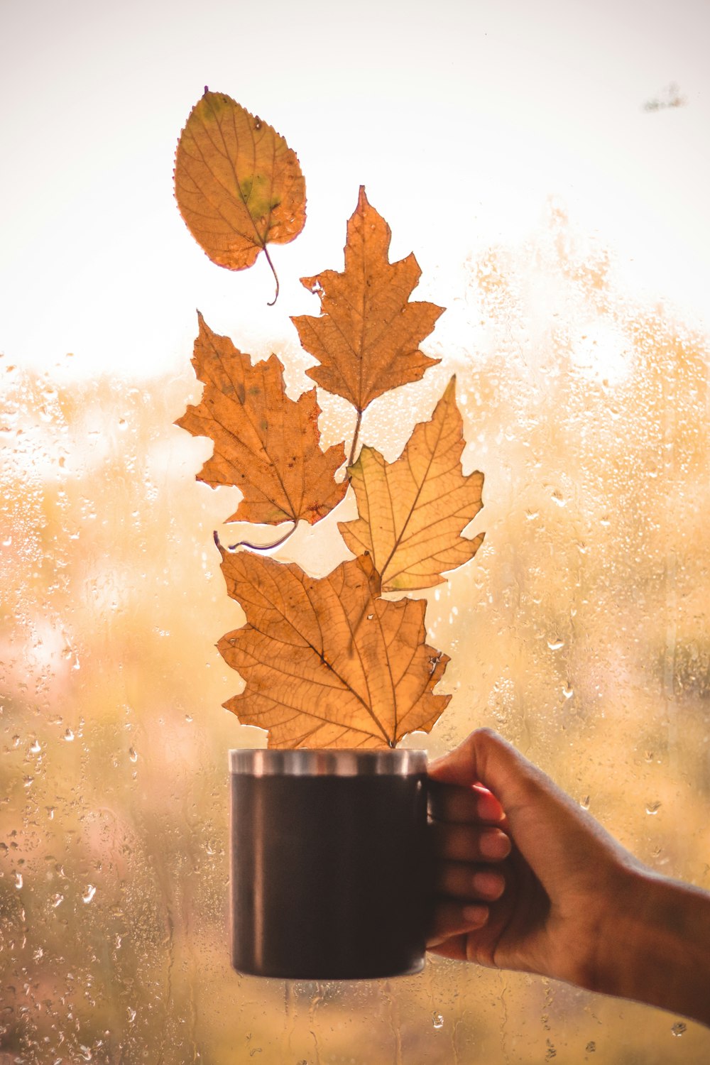 a person holding a cup with a leaf on it