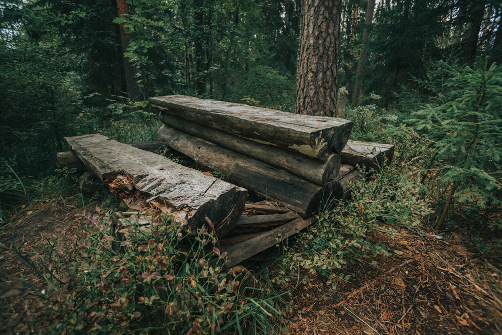 a pile of logs sitting in the middle of a forest