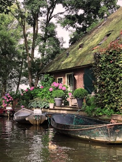 a house with a thatched roof next to a body of water