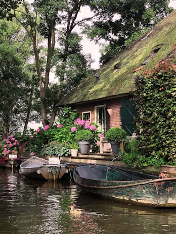 a house with a thatched roof next to a body of water