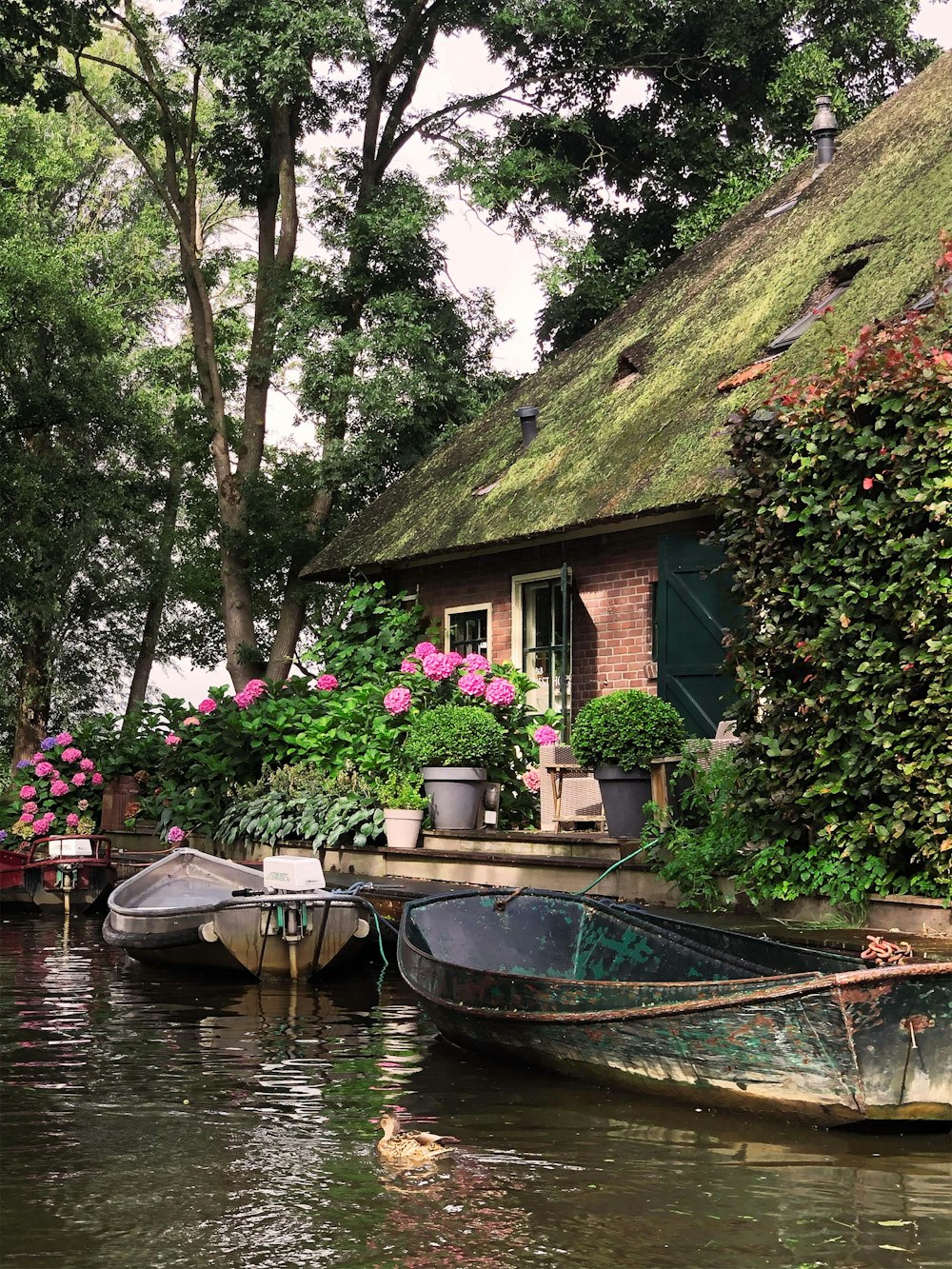 a house with a thatched roof next to a body of water