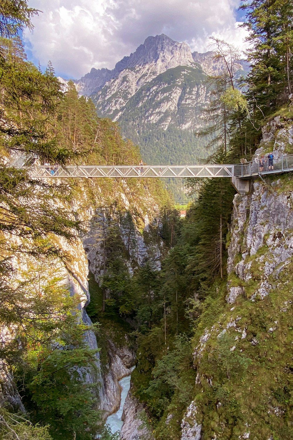 a bridge over a river in the middle of a forest