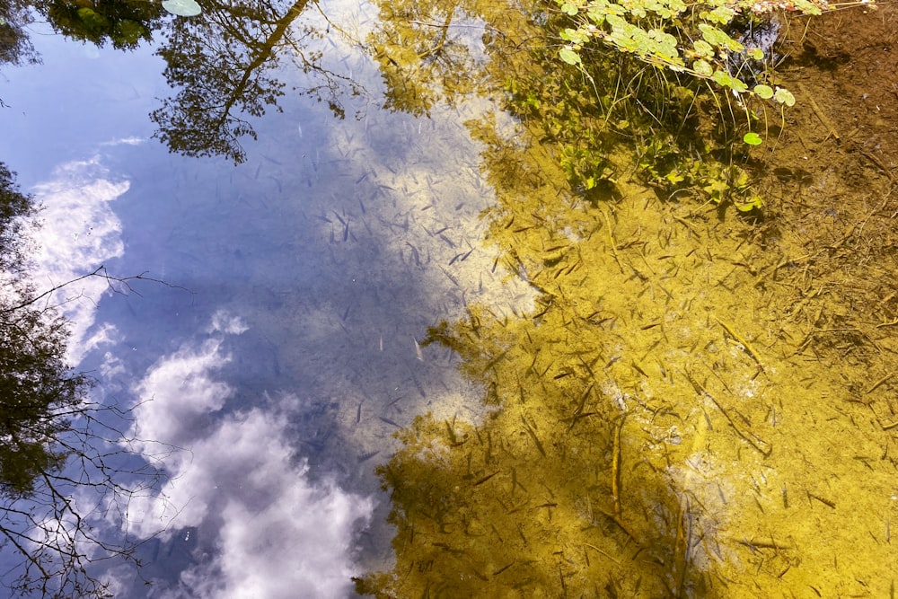 the sky is reflected in the water of the pond