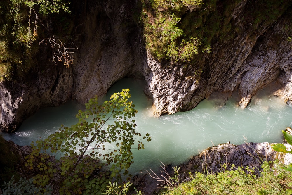 a river flowing through a canyon next to a lush green forest