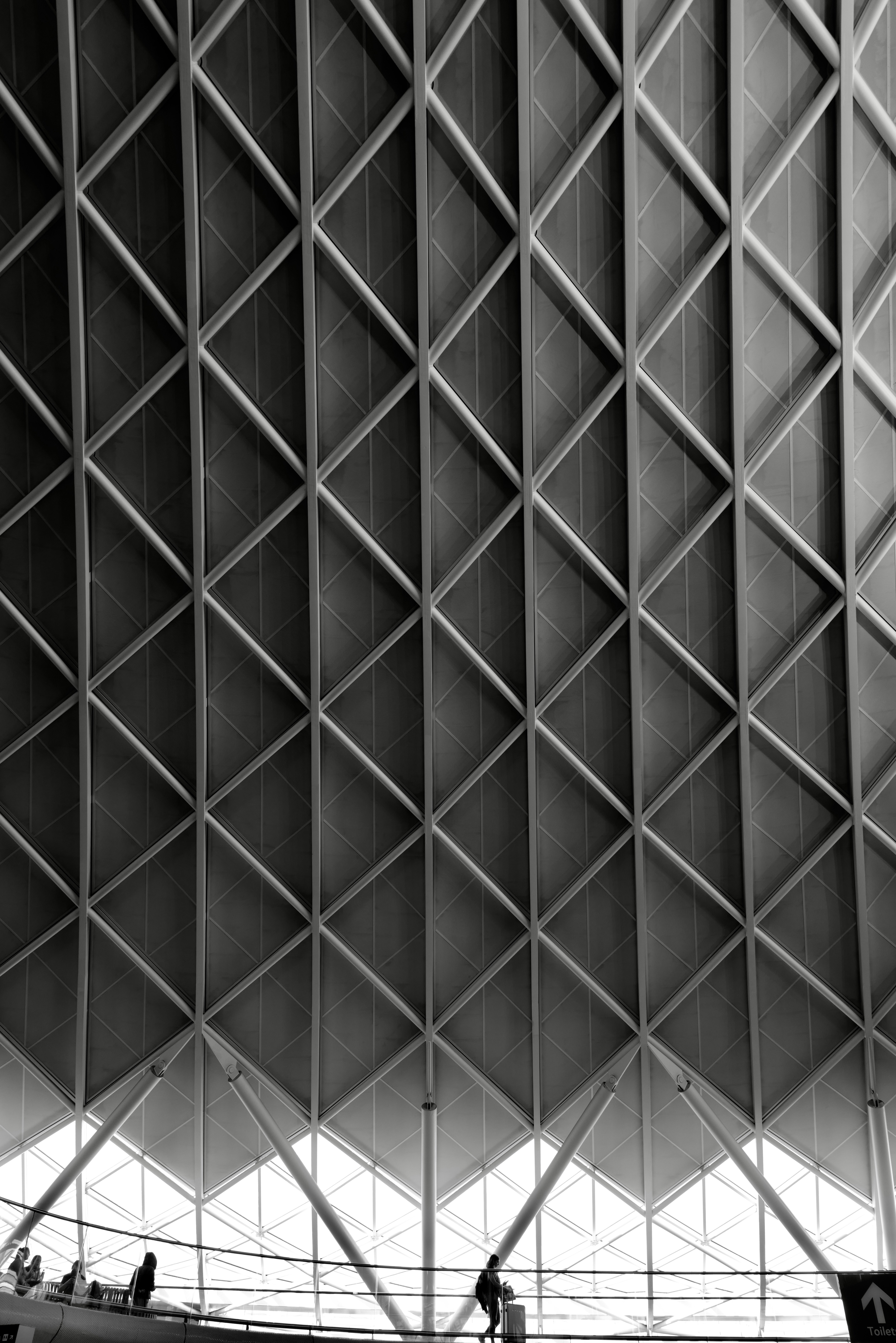 Photo by simongoldstein