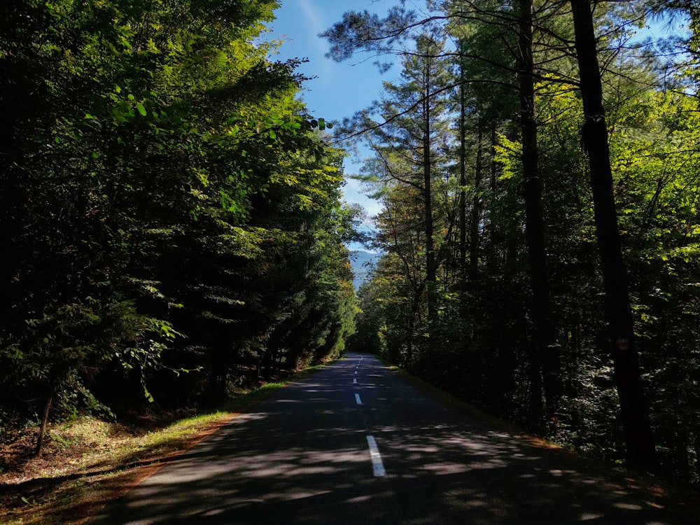 a road in the middle of a wooded area