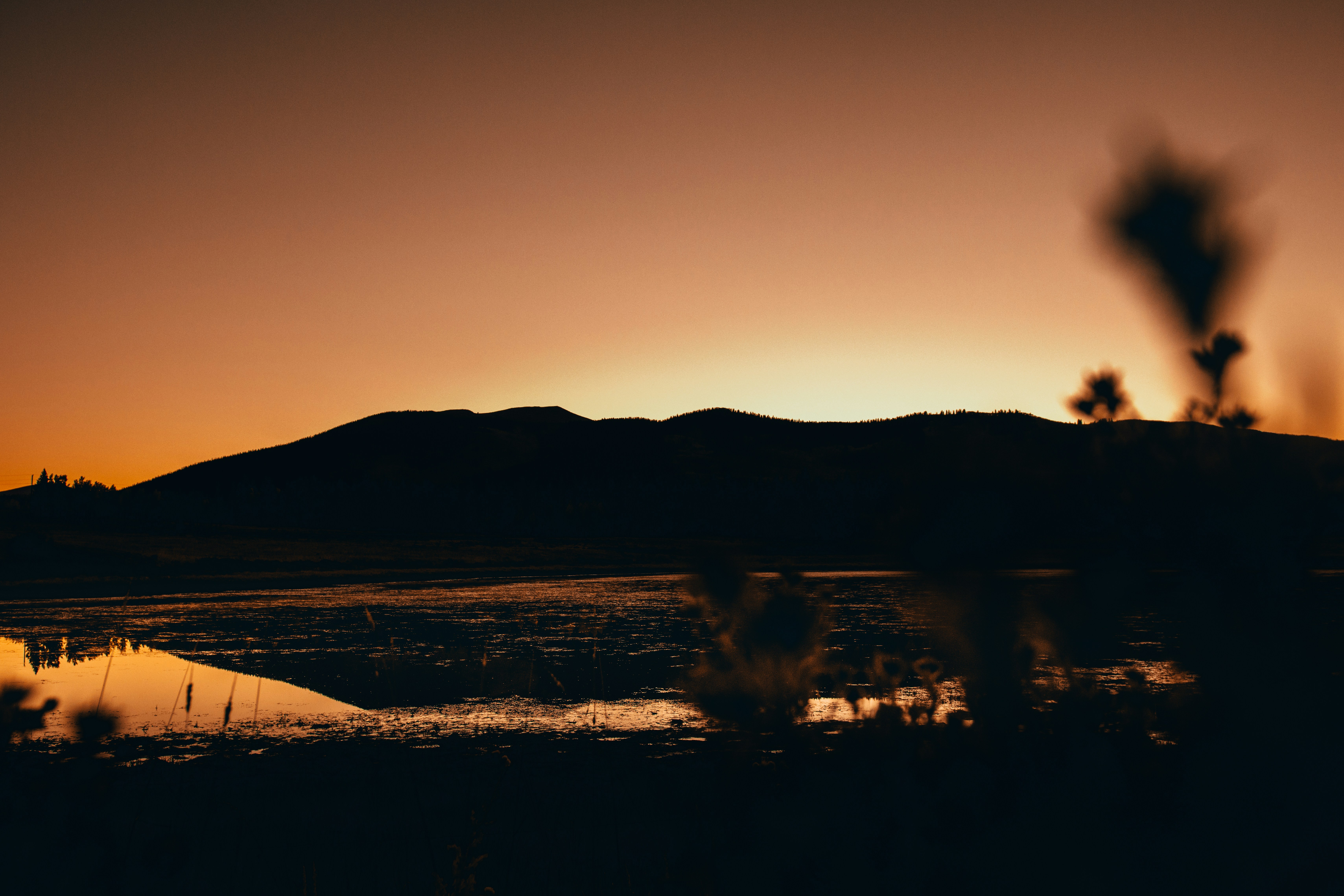 Photo by jakobnoahrosen