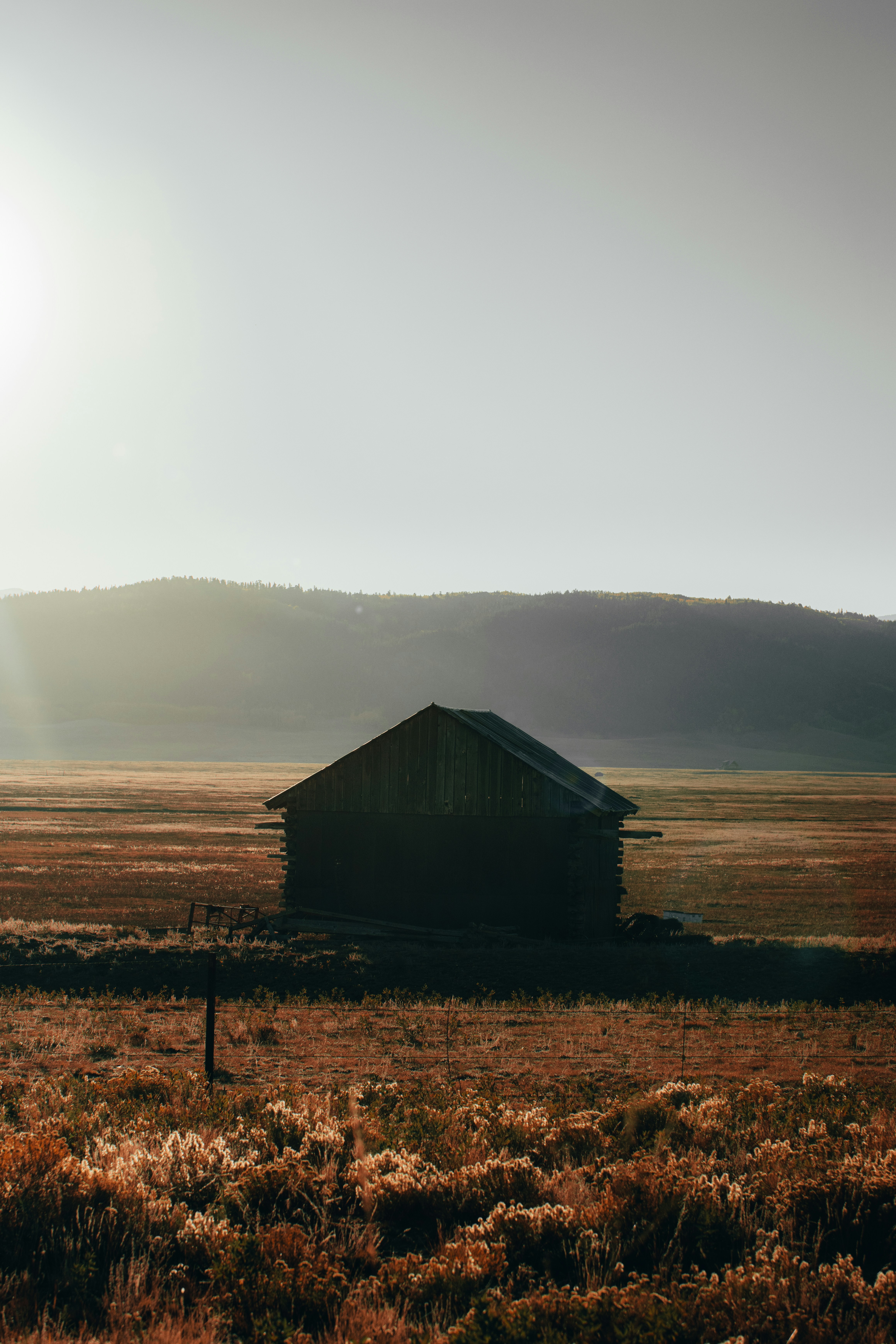 Photo by jakobnoahrosen