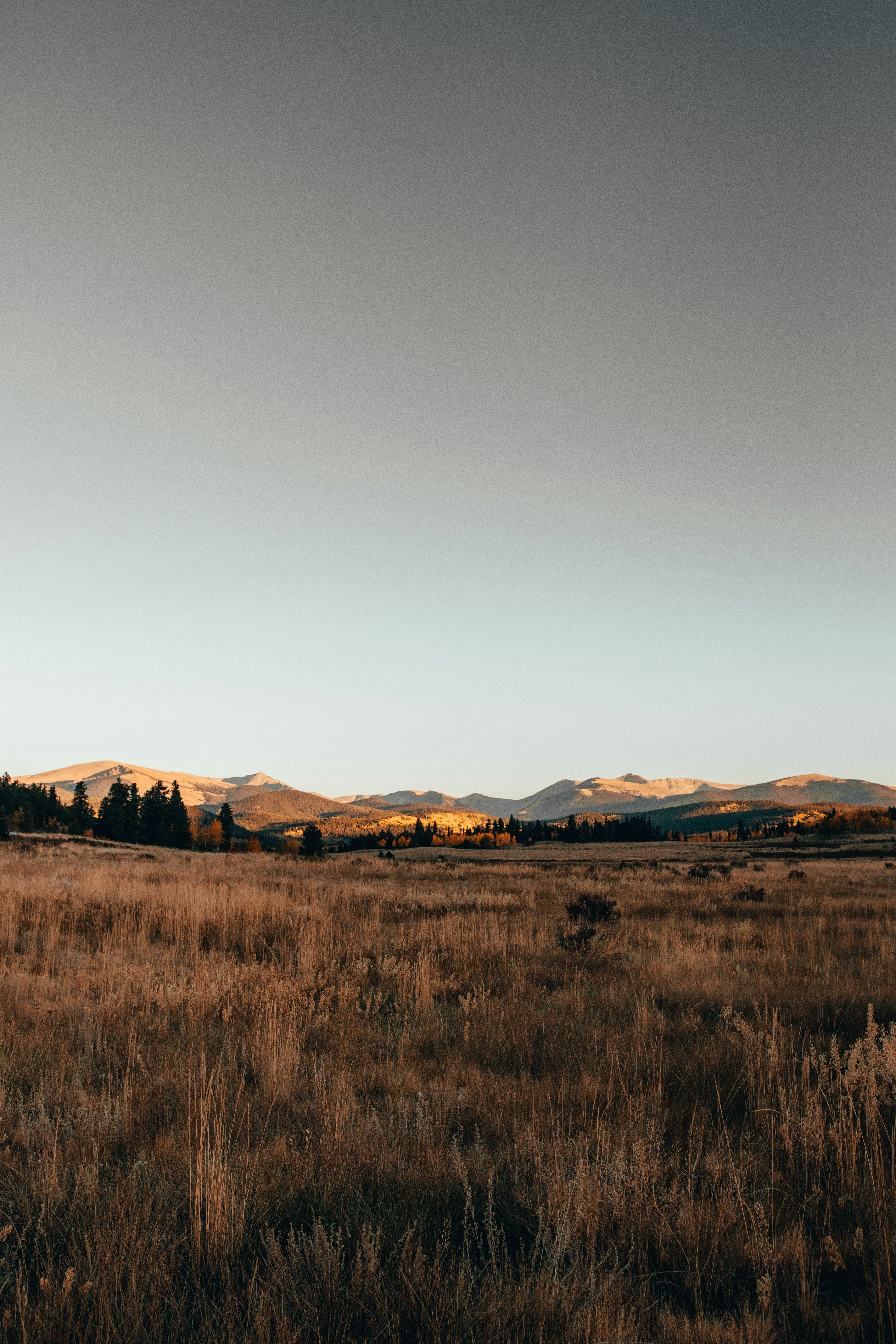 Photo by jakobnoahrosen