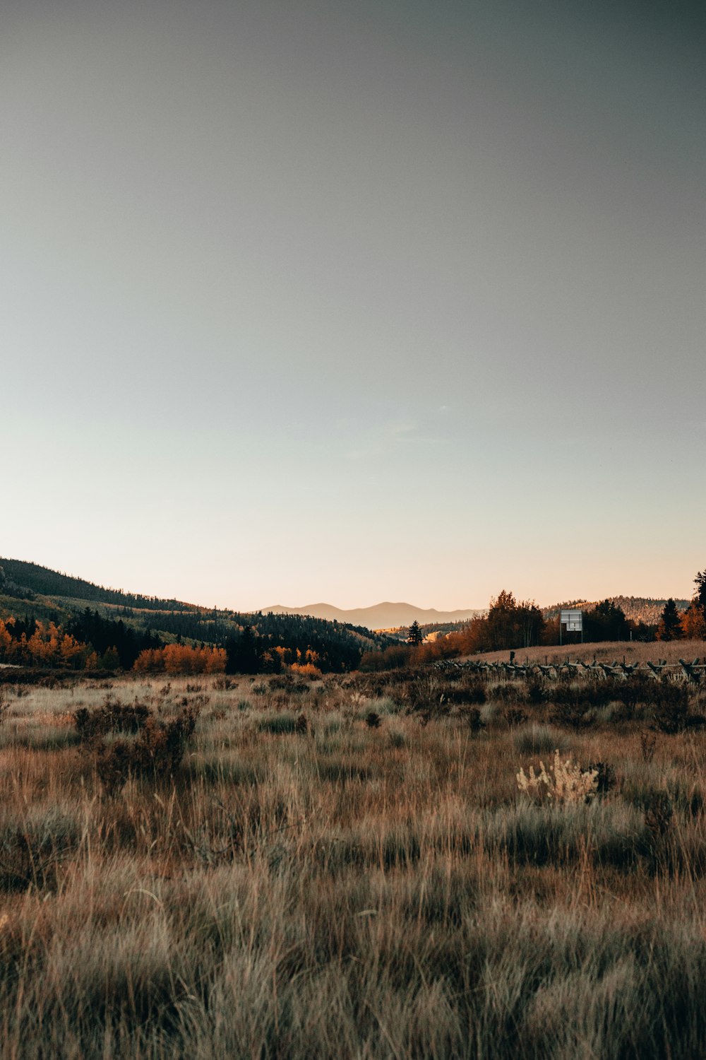 a grassy field with a house in the distance