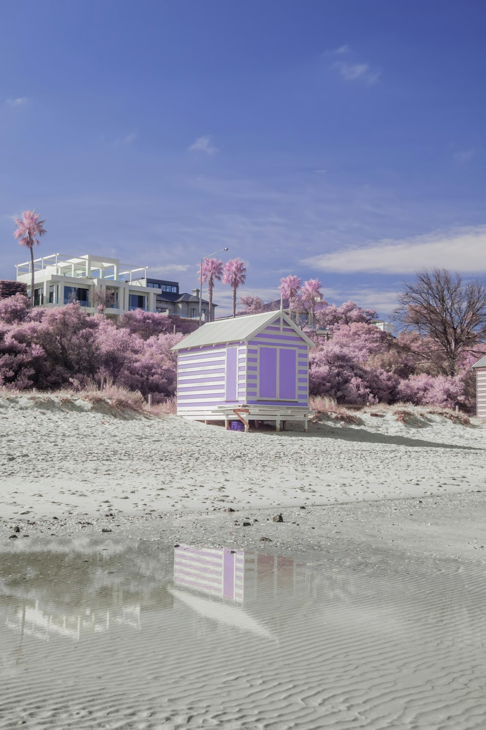 a purple and white beach hut sitting on top of a sandy beach