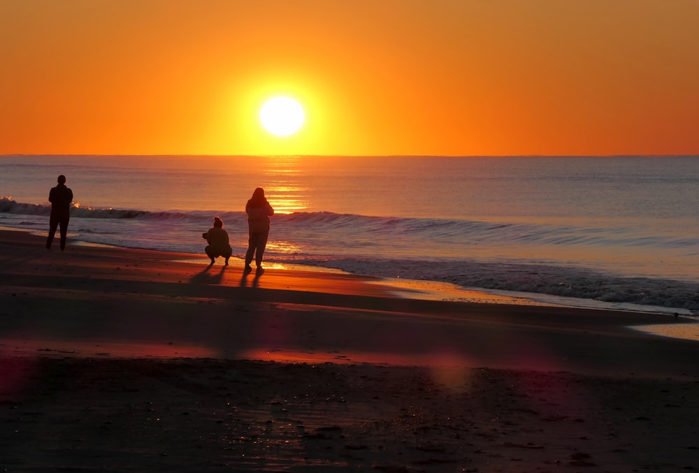 um grupo de pessoas caminhando ao longo de uma praia ao pôr do sol
