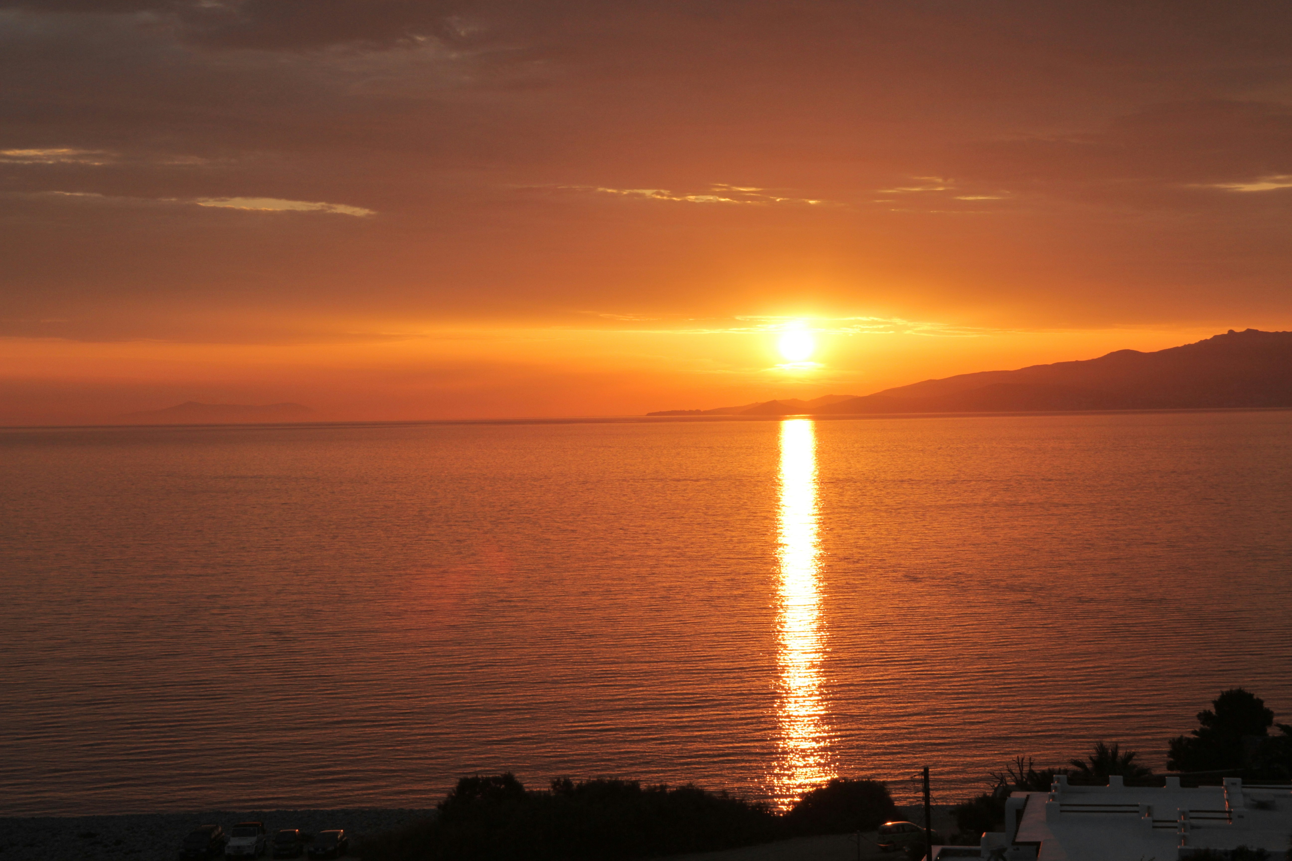 Photo by blackirisvisuals