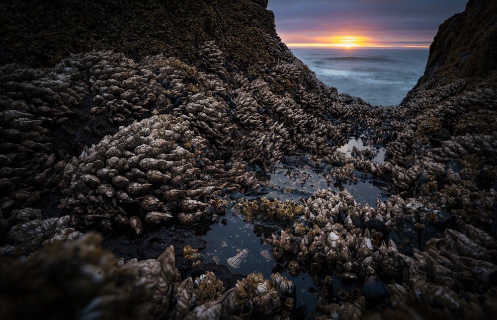 the sun is setting over a rocky beach