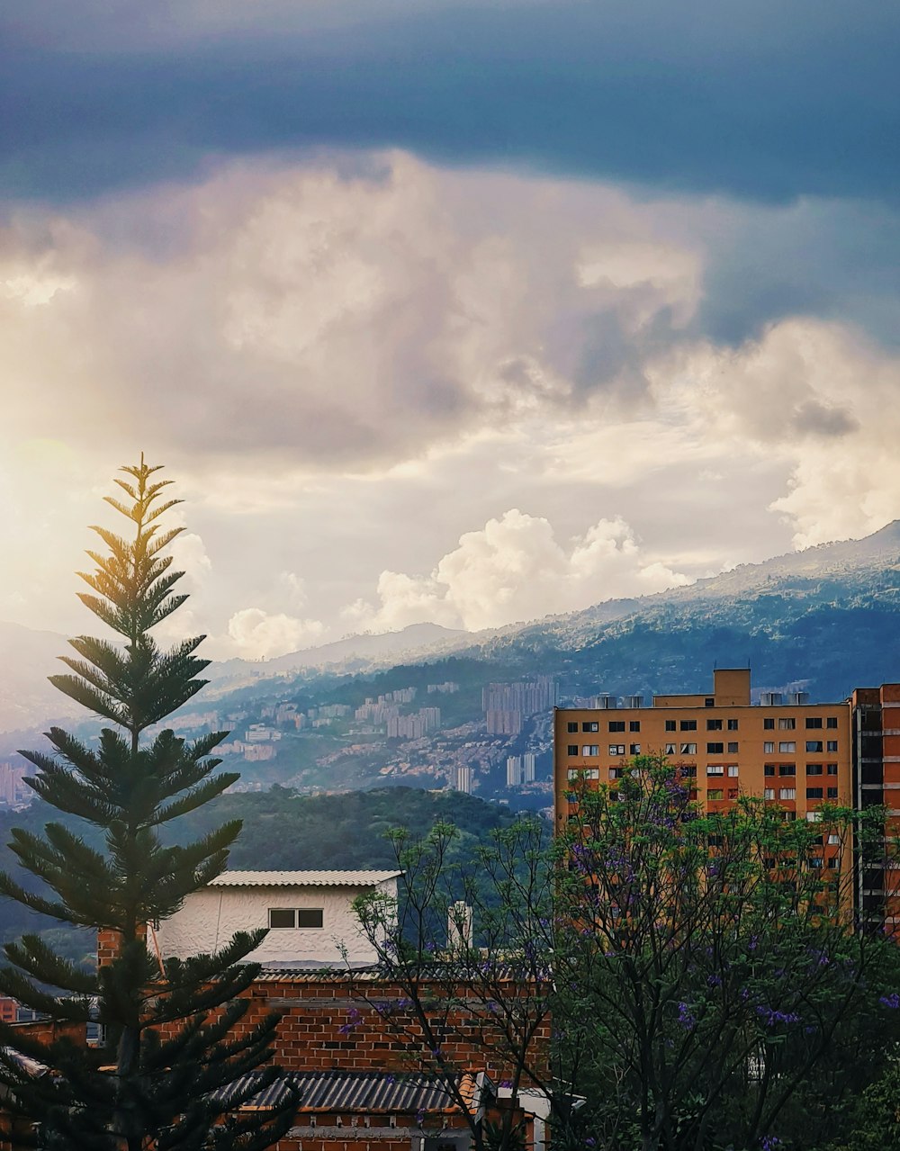 a view of a city with mountains in the background