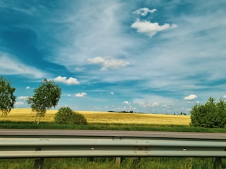A rural landscape with a vast field of golden crops stretches across the horizon under a blue sky filled with scattered clouds. A metal guardrail runs parallel to the field, with patches of green grass and a few trees beside it. The scene suggests a sunny and peaceful day.