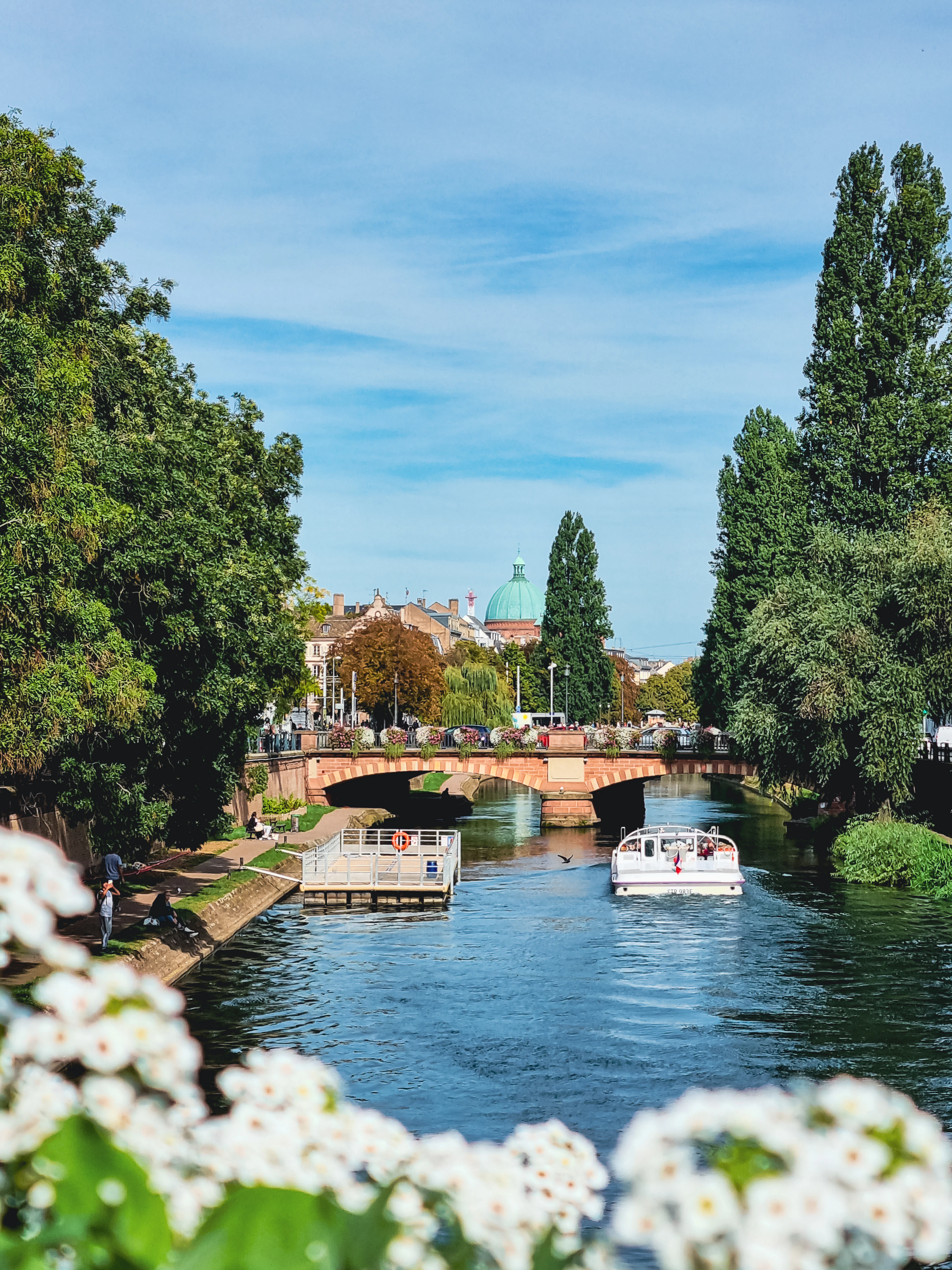 A tour boat passes under an arched bridge on a Strasbourg canal, a green-domed building beyond and white blossoms in the foreground.