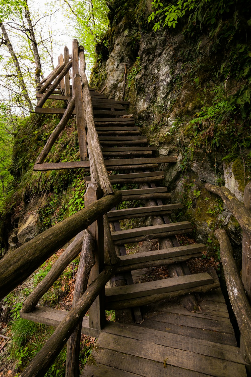 a set of wooden stairs leading up to a cliff