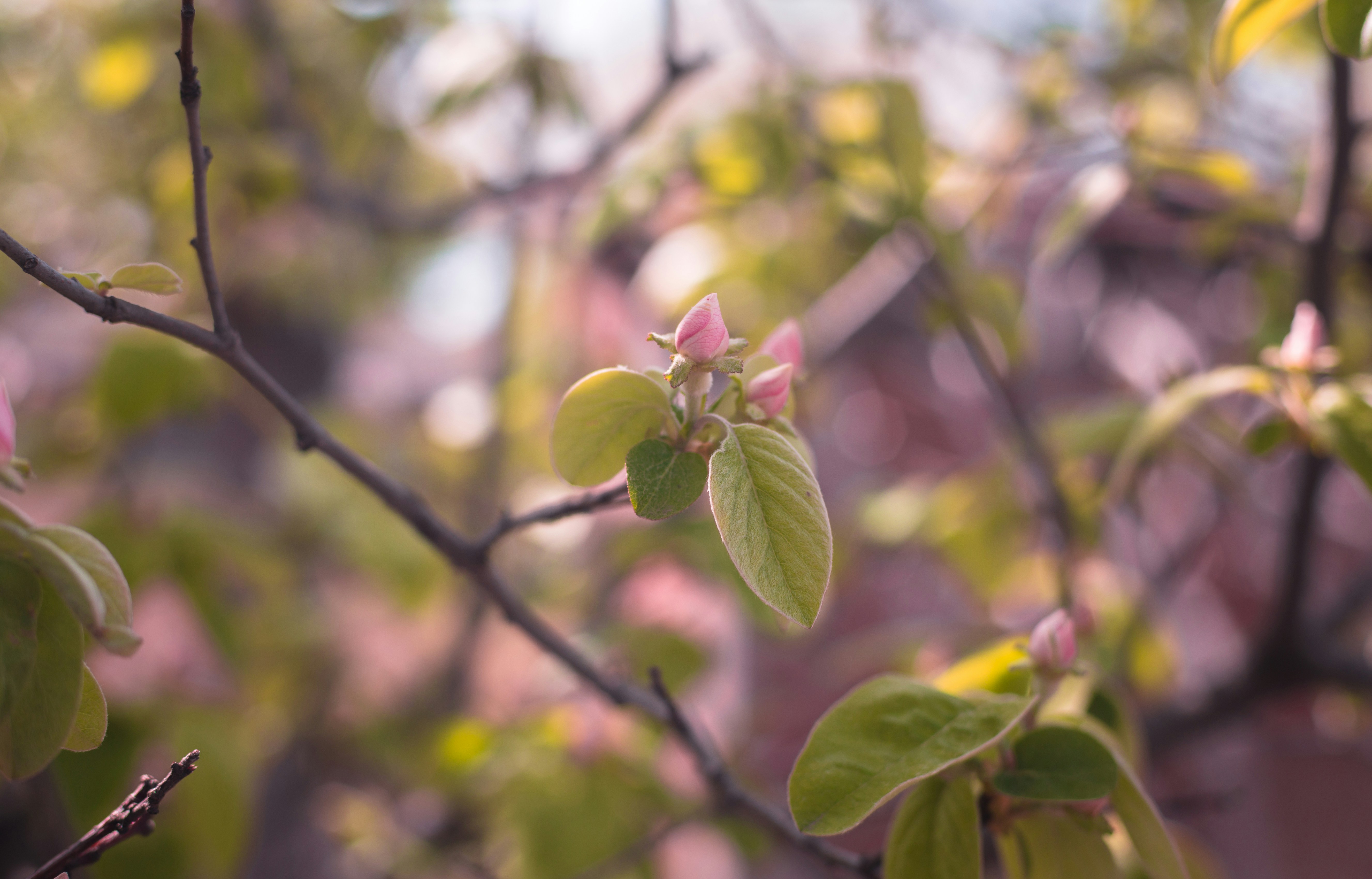 Photo by blooddrainer