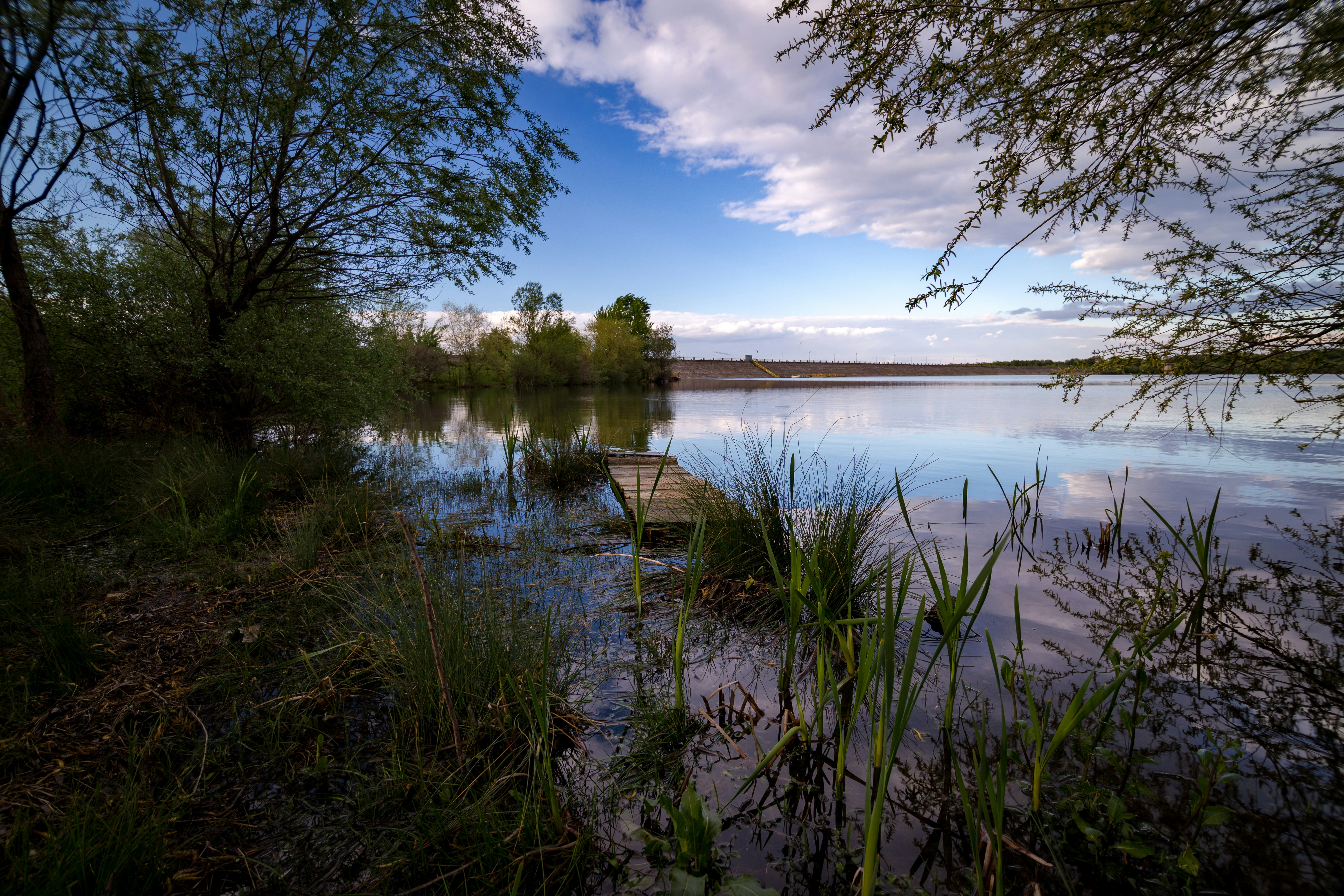 Photo by blooddrainer