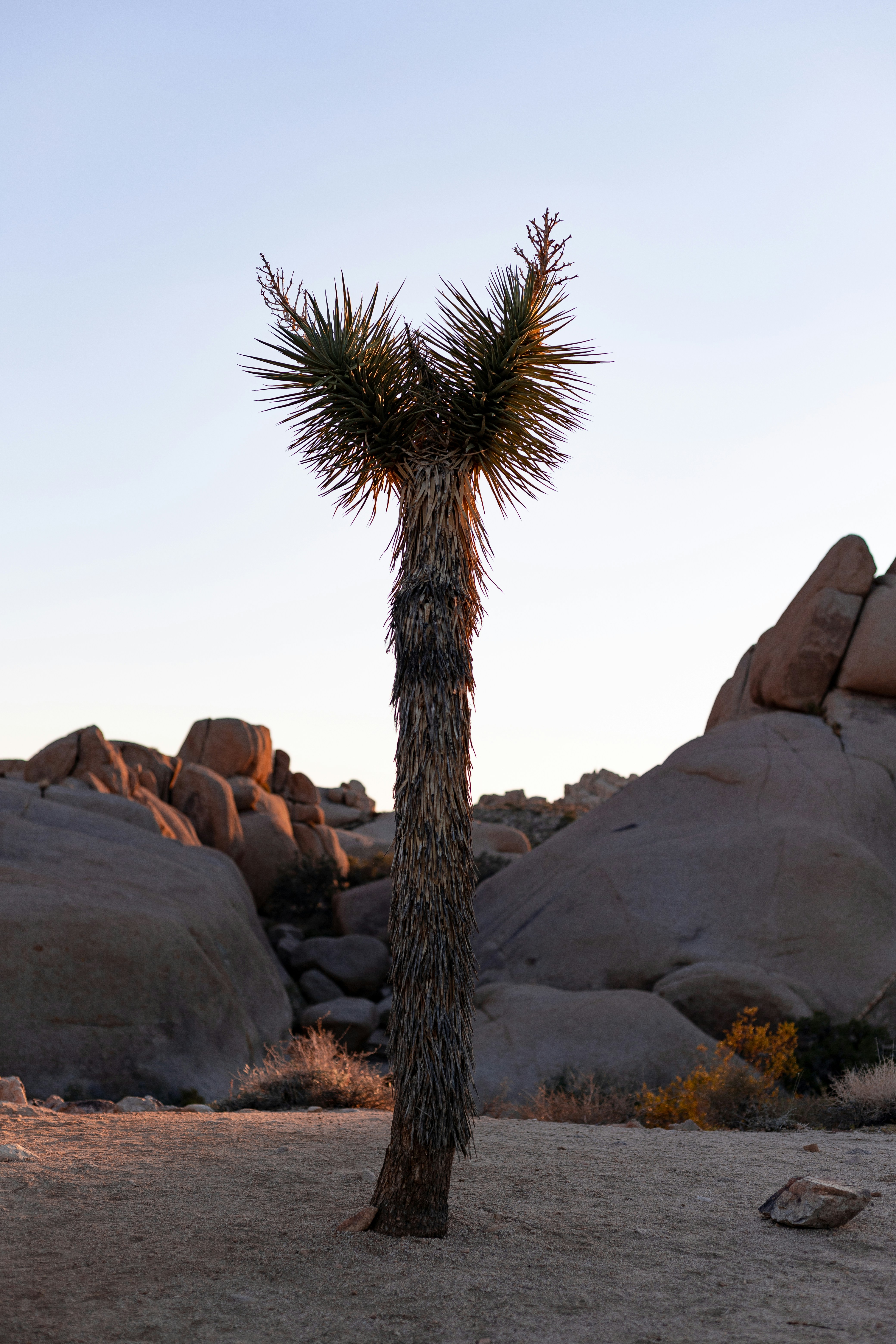 Photo by benoitphoto