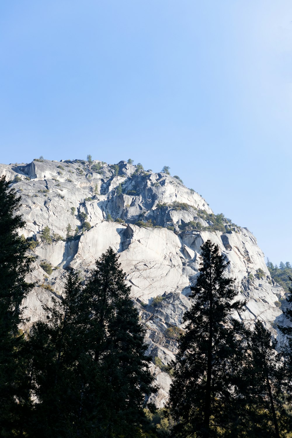 a view of a mountain with trees in the foreground