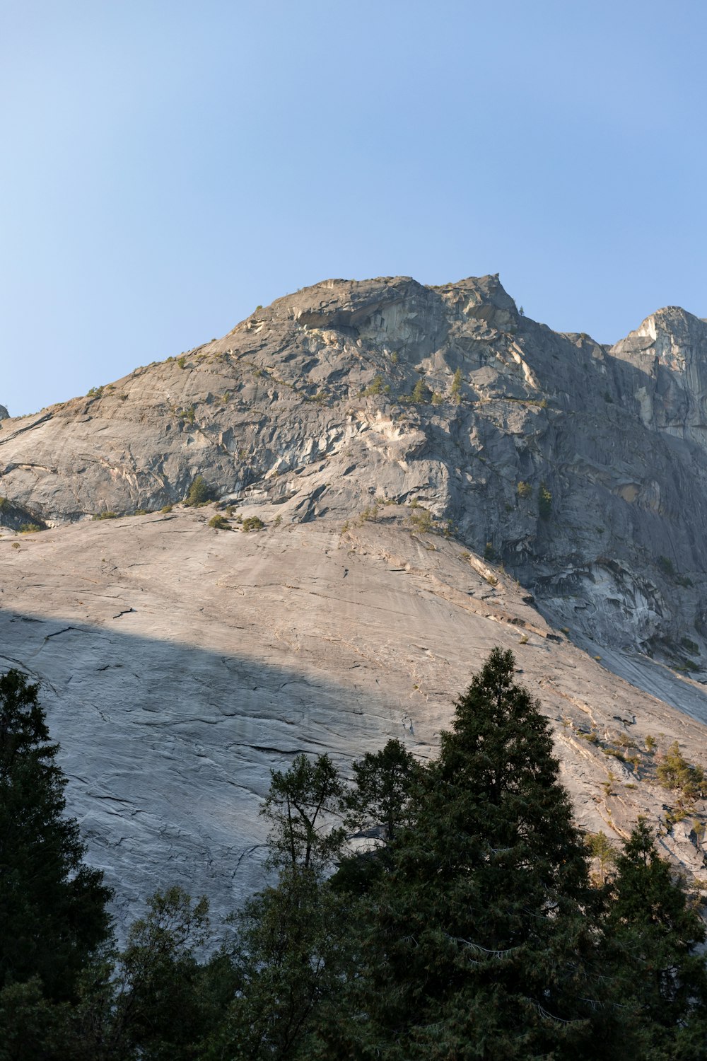 a very tall mountain with some trees in front of it