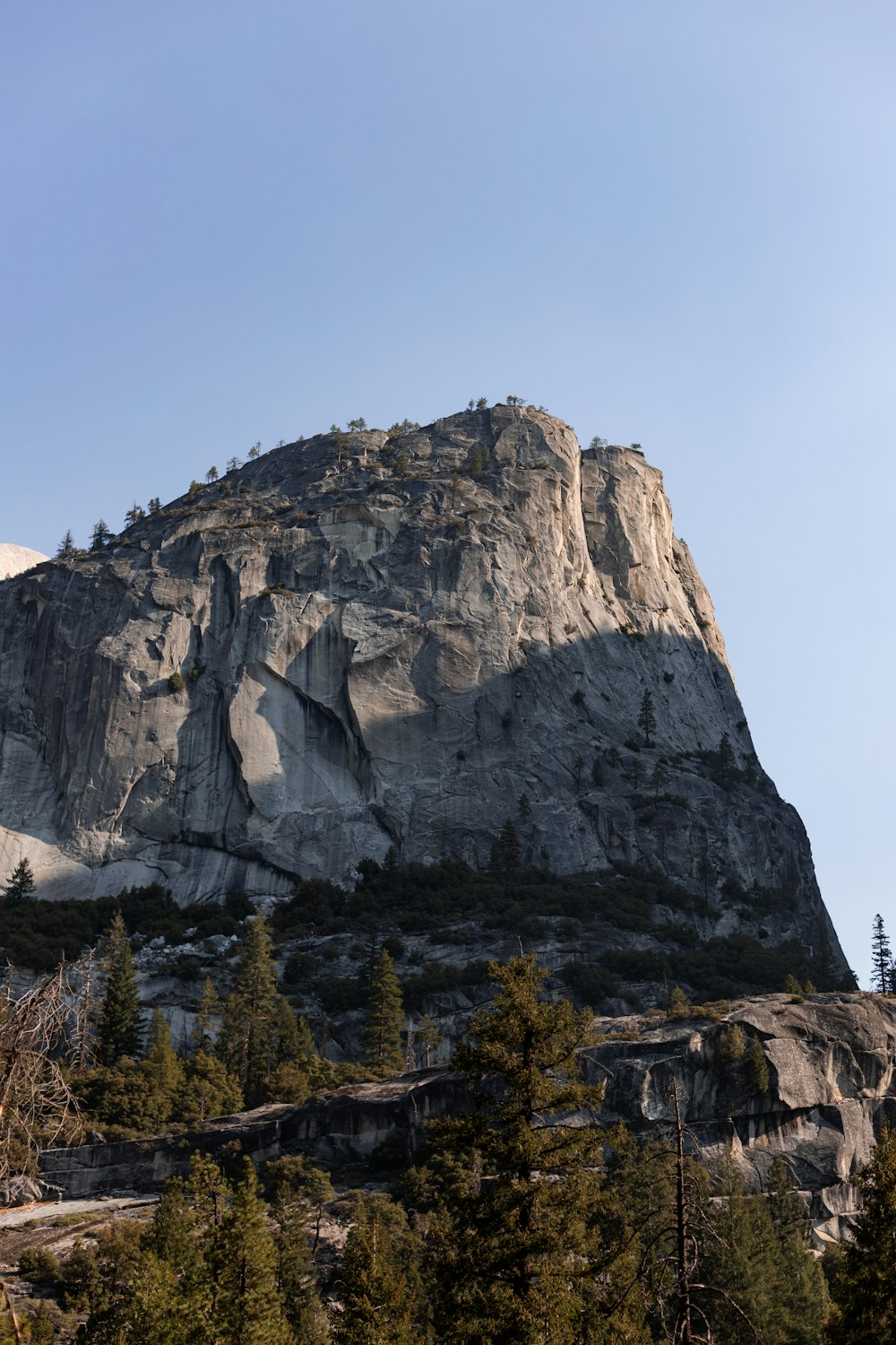 a large mountain with trees on the side of it