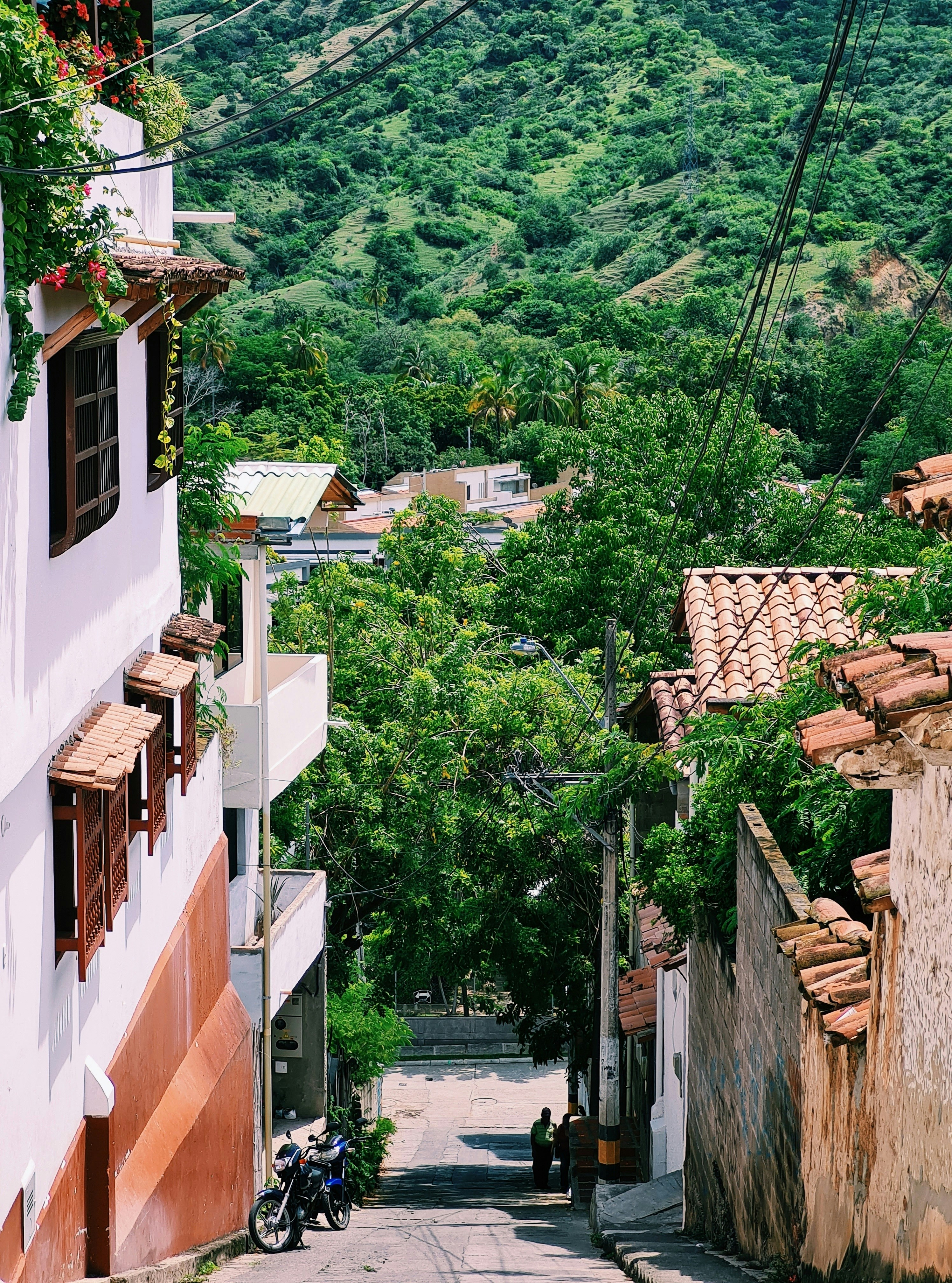 Rancho Santa Fe Market Report June 2024