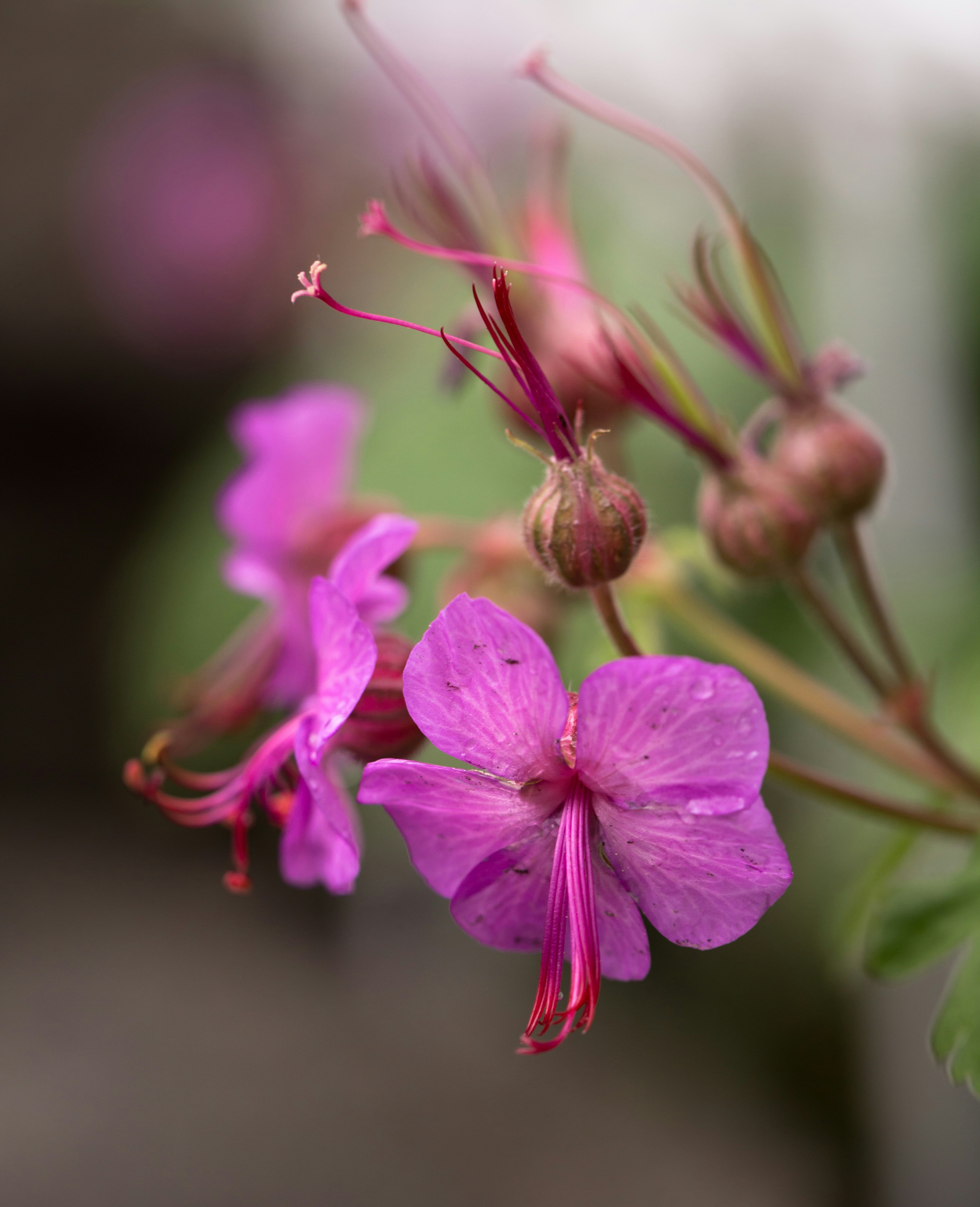 Photo by blooddrainer